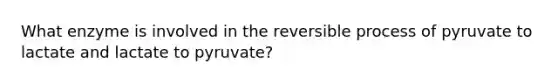 What enzyme is involved in the reversible process of pyruvate to lactate and lactate to pyruvate?