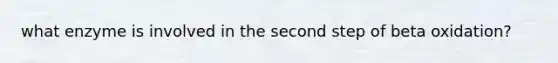 what enzyme is involved in the second step of beta oxidation?