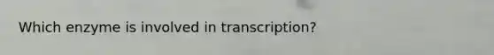 Which enzyme is involved in transcription?