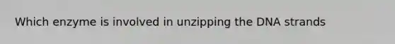 Which enzyme is involved in unzipping the DNA strands