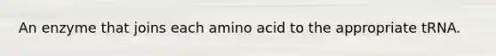 An enzyme that joins each amino acid to the appropriate tRNA.