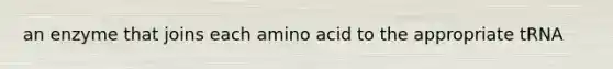 an enzyme that joins each amino acid to the appropriate tRNA