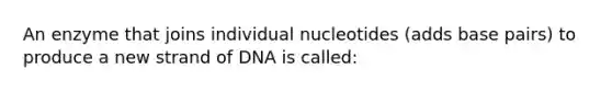 An enzyme that joins individual nucleotides (adds base pairs) to produce a new strand of DNA is called: