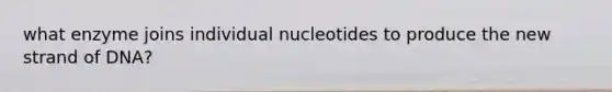 what enzyme joins individual nucleotides to produce the new strand of DNA?