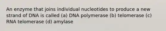 An enzyme that joins individual nucleotides to produce a new strand of DNA is called (a) DNA polymerase (b) telomerase (c) RNA telomerase (d) amylase