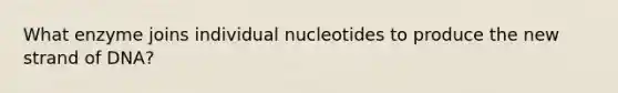 What enzyme joins individual nucleotides to produce the new strand of DNA?