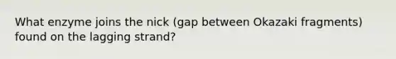 What enzyme joins the nick (gap between Okazaki fragments) found on the lagging strand?