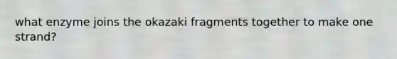 what enzyme joins the okazaki fragments together to make one strand?