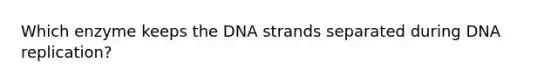 Which enzyme keeps the DNA strands separated during <a href='https://www.questionai.com/knowledge/kofV2VQU2J-dna-replication' class='anchor-knowledge'>dna replication</a>?