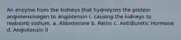 An enzyme from the kidneys that hydrolyzes the protein angiotensinogen to angiotensin I, causing the kidneys to reabsorb sodium. a. Aldosterone b. Renin c. Antidiuretic Hormone d. Angiotensin II