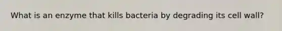 What is an enzyme that kills bacteria by degrading its cell wall?