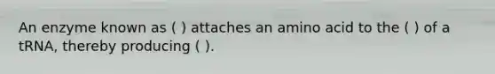 An enzyme known as ( ) attaches an amino acid to the ( ) of a tRNA, thereby producing ( ).
