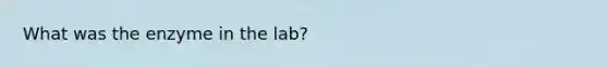 What was the enzyme in the lab?