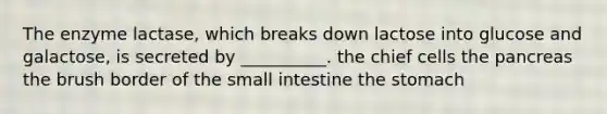 The enzyme lactase, which breaks down lactose into glucose and galactose, is secreted by __________. the chief cells the pancreas the brush border of the small intestine the stomach