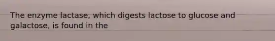 The enzyme lactase, which digests lactose to glucose and galactose, is found in the