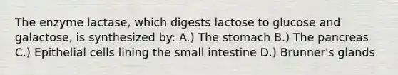 The enzyme lactase, which digests lactose to glucose and galactose, is synthesized by: A.) <a href='https://www.questionai.com/knowledge/kLccSGjkt8-the-stomach' class='anchor-knowledge'>the stomach</a> B.) <a href='https://www.questionai.com/knowledge/kITHRba4Cd-the-pancreas' class='anchor-knowledge'>the pancreas</a> C.) Epithelial cells lining <a href='https://www.questionai.com/knowledge/kt623fh5xn-the-small-intestine' class='anchor-knowledge'>the small intestine</a> D.) Brunner's glands