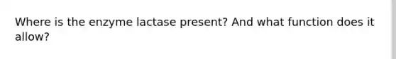 Where is the enzyme lactase present? And what function does it allow?