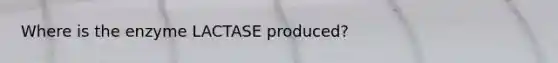 Where is the enzyme LACTASE produced?