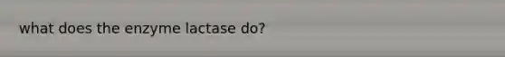 what does the enzyme lactase do?