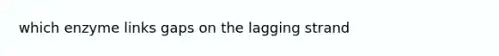 which enzyme links gaps on the lagging strand