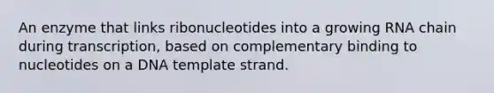 An enzyme that links ribonucleotides into a growing RNA chain during transcription, based on complementary binding to nucleotides on a DNA template strand.