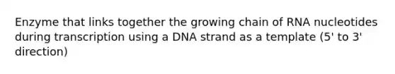 Enzyme that links together the growing chain of RNA nucleotides during transcription using a DNA strand as a template (5' to 3' direction)