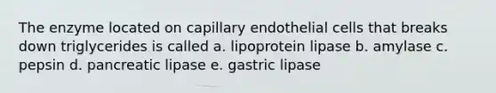 The enzyme located on capillary endothelial cells that breaks down triglycerides is called a. lipoprotein lipase b. amylase c. pepsin d. pancreatic lipase e. gastric lipase