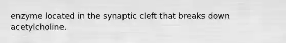 enzyme located in the synaptic cleft that breaks down acetylcholine.