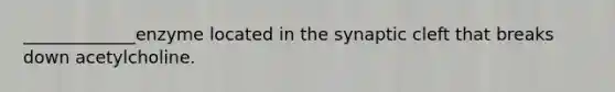 _____________enzyme located in the synaptic cleft that breaks down acetylcholine.