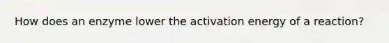 How does an enzyme lower the activation energy of a reaction?