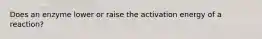 Does an enzyme lower or raise the activation energy of a reaction?
