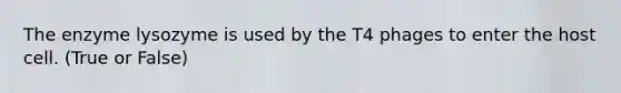 The enzyme lysozyme is used by the T4 phages to enter the host cell. (True or False)