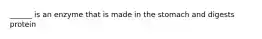______ is an enzyme that is made in the stomach and digests protein