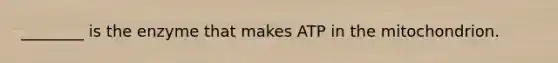 ________ is the enzyme that makes ATP in the mitochondrion.