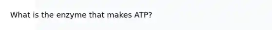 What is the enzyme that makes ATP?