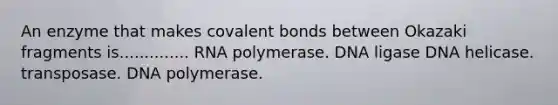 An enzyme that makes covalent bonds between Okazaki fragments is.............. RNA polymerase. DNA ligase DNA helicase. transposase. DNA polymerase.