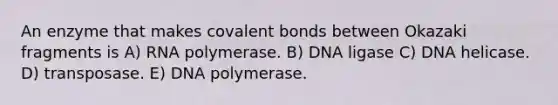 An enzyme that makes covalent bonds between Okazaki fragments is A) RNA polymerase. B) DNA ligase C) DNA helicase. D) transposase. E) DNA polymerase.