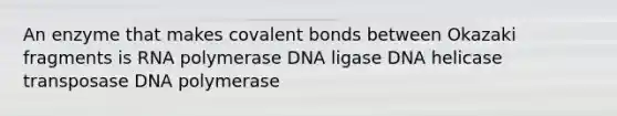 An enzyme that makes covalent bonds between Okazaki fragments is RNA polymerase DNA ligase DNA helicase transposase DNA polymerase