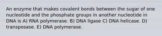 An enzyme that makes covalent bonds between the sugar of one nucleotide and the phosphate groups in another nucleotide in DNA is A) RNA polymerase. B) DNA ligase C) DNA helicase. D) transposase. E) DNA polymerase.