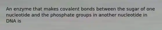 An enzyme that makes covalent bonds between the sugar of one nucleotide and the phosphate groups in another nucleotide in DNA is