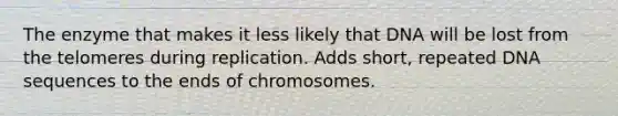 The enzyme that makes it less likely that DNA will be lost from the telomeres during replication. Adds short, repeated DNA sequences to the ends of chromosomes.