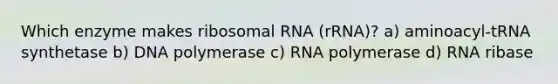 Which enzyme makes ribosomal RNA (rRNA)? a) aminoacyl-tRNA synthetase b) DNA polymerase c) RNA polymerase d) RNA ribase