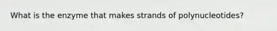 What is the enzyme that makes strands of polynucleotides?