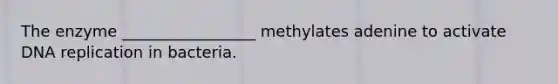 The enzyme _________________ methylates adenine to activate DNA replication in bacteria.