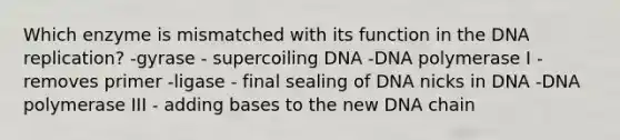 Which enzyme is mismatched with its function in the DNA replication? -gyrase - supercoiling DNA -DNA polymerase I - removes primer -ligase - final sealing of DNA nicks in DNA -DNA polymerase III - adding bases to the new DNA chain