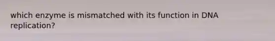 which enzyme is mismatched with its function in DNA replication?