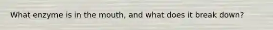 What enzyme is in the mouth, and what does it break down?