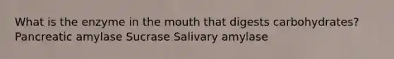 What is the enzyme in the mouth that digests carbohydrates? Pancreatic amylase Sucrase Salivary amylase