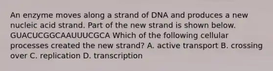 An enzyme moves along a strand of DNA and produces a new nucleic acid strand. Part of the new strand is shown below. GUACUCGGCAAUUUCGCA Which of the following cellular processes created the new strand? A. active transport B. crossing over C. replication D. transcription