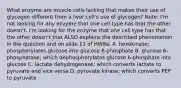 What enzyme are muscle cells lacking that makes their use of glycogen different from a liver cell's use of glycogen? Note: I'm not looking for any enzyme that one cell type has that the other doesn't. I'm looking for the enzyme that one cell type has that the other doesn't that ALSO explains the described phenomenon in the question and on slide 11 of HW8a. A. hexokinase; phosphorylates glucose into glucose 6-phosphate B. glucose 6-phosphatase; which dephosphorylates glucose 6-phosphate into glucose C. lactate dehydrogenase; which converts lactate to pyruvate and vice versa D. pyruvate kinase; which converts PEP to pyruvate